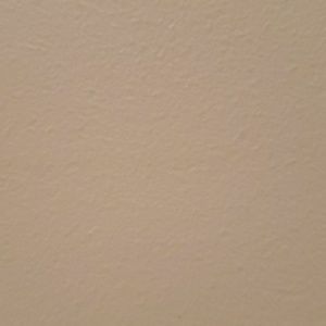 Meet your Posher, Willis